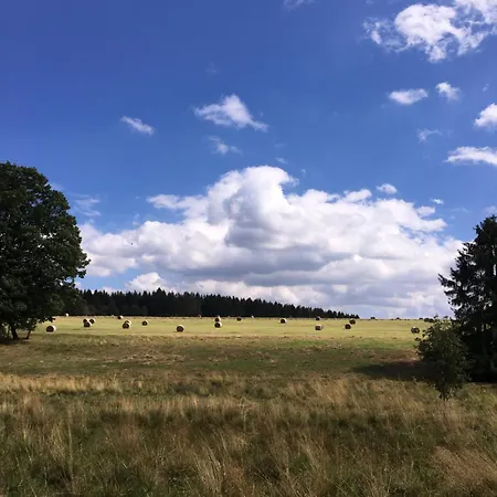 Apartman Harz 'baerenwinkel' Mit Seeblick- Bubo Am