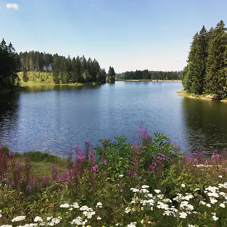 Harz 'baerenwinkel' Mit Seeblick- Bubo Am