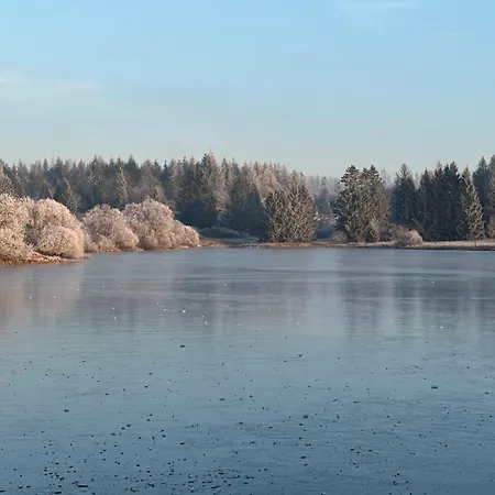 Harz 'baerenwinkel' Mit Seeblick- Bubo Am