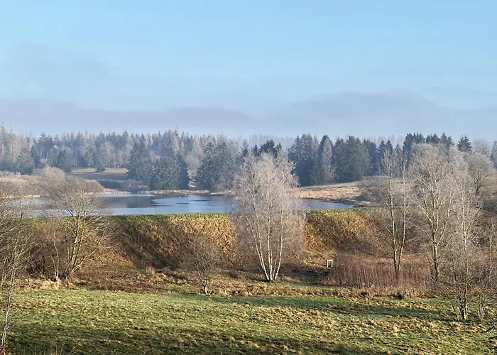 Harz 'baerenwinkel' Mit Seeblick- Bubo Am Clausthal-Zellerfeld